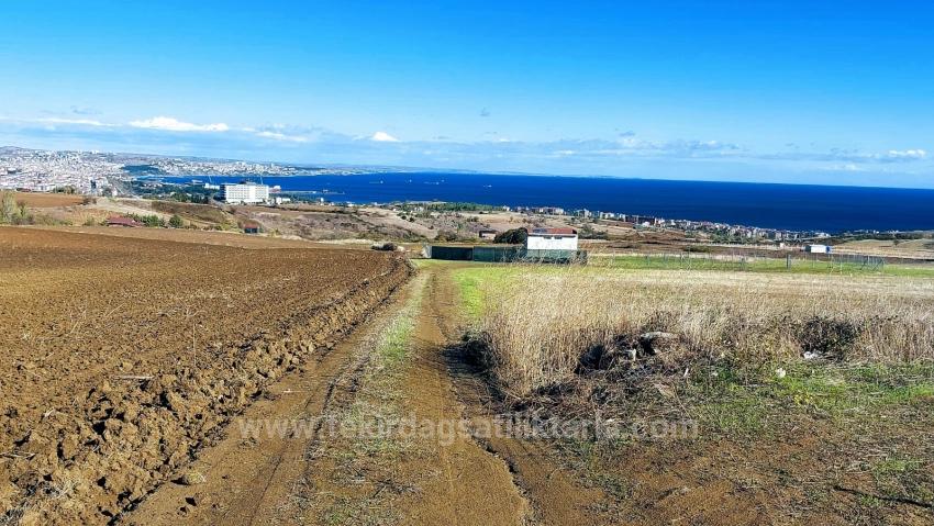 Apply Emergency Hourly Luxury Villa Project, Provide High Earnings, Completely Full Sea And Nature View