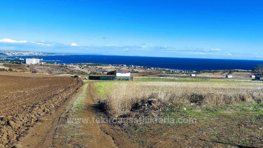 32 Luxury Villas With Great Sea, Nature And City Views, Opportunity Land Suitable For The Project