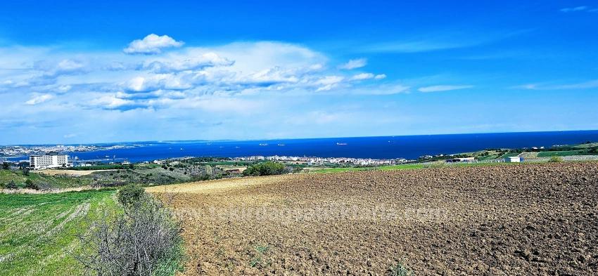 32 Luxury Villas With Great Sea, Nature And City Views, Opportunity Land Suitable For The Project