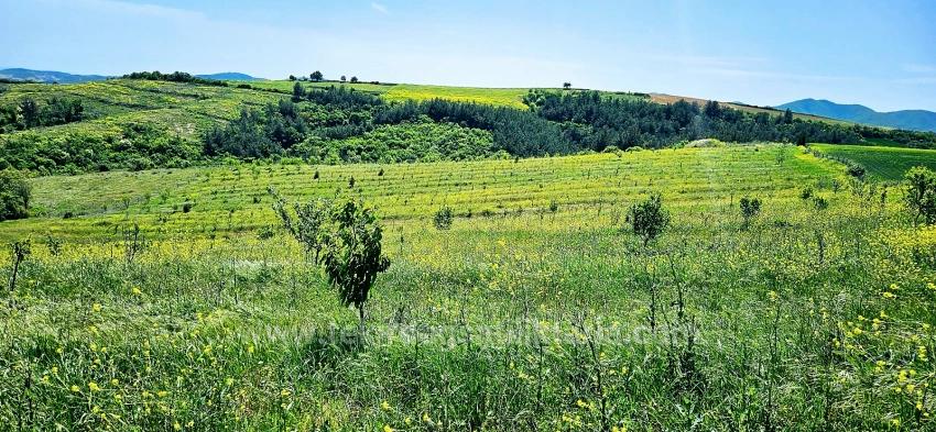 *Barter+Cash* Build A Farm With State Support* Produce And Grow* Secure Your Future*