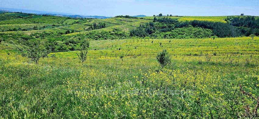 *Barter+Cash* Build A Farm With State Support* Produce And Grow* Secure Your Future*