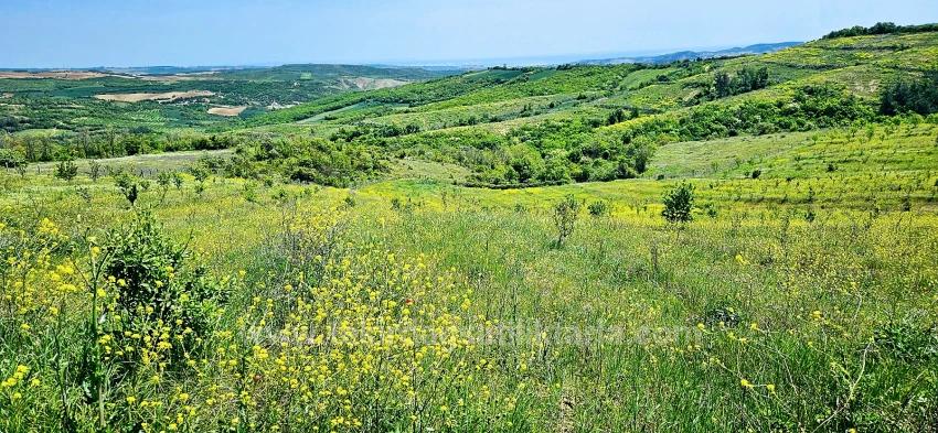 *Barter+Cash* Build A Farm With State Support* Produce And Grow* Secure Your Future*