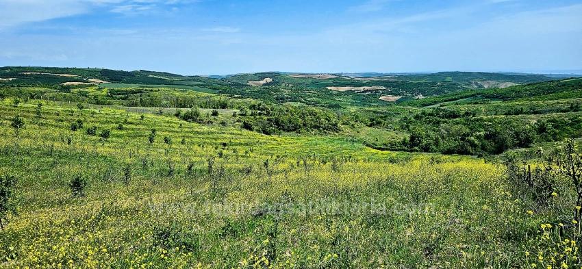 *Barter+Cash* Build A Farm With State Support* Produce And Grow* Secure Your Future*