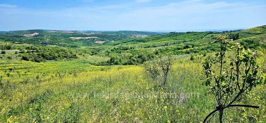 *Barter+Cash* Build A Farm With State Support* Produce And Grow* Secure Your Future*