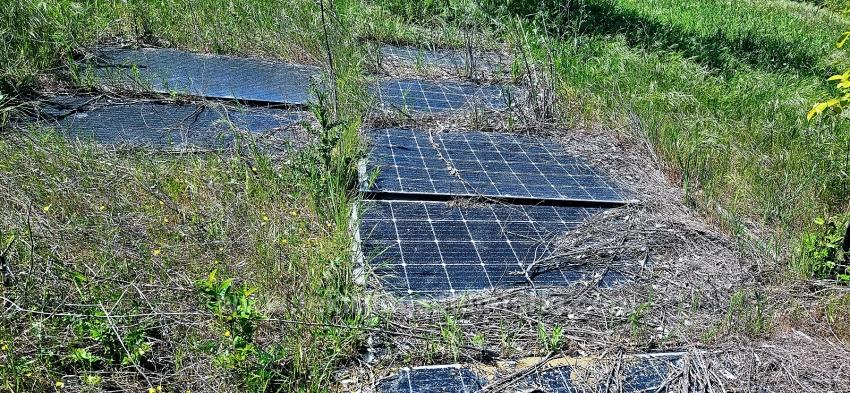 *Barter+Cash* Build A Farm With State Support* Produce And Grow* Secure Your Future*