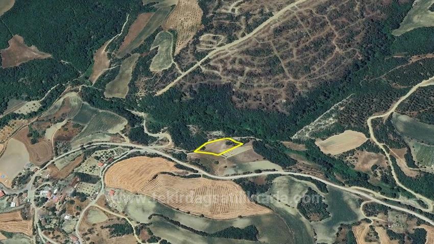 Detached Parcel, Not A Single Title Deed, Very Close To The Village Zoning Boundary, Urgent Sale, Search For Opportunity