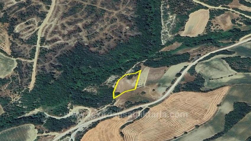 Detached Parcel, Not A Single Title Deed, Very Close To The Village Zoning Boundary, Urgent Sale, Search For Opportunity