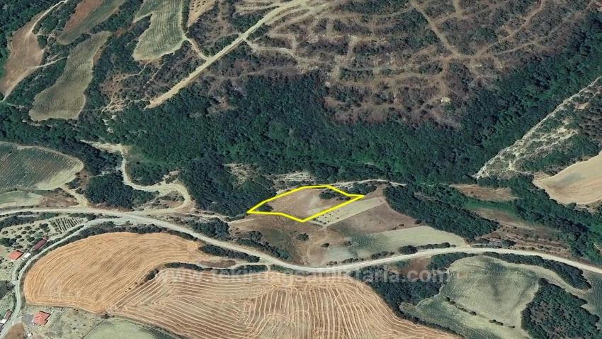 Detached Parcel, Not A Single Title Deed, Very Close To The Village Zoning Boundary, Urgent Sale, Search For Opportunity