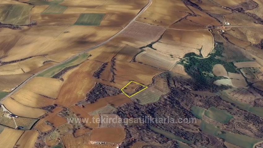 Investment Opportunity: Guaranteed High Profit In The Short Term For Those Who Want To Buy And Sell