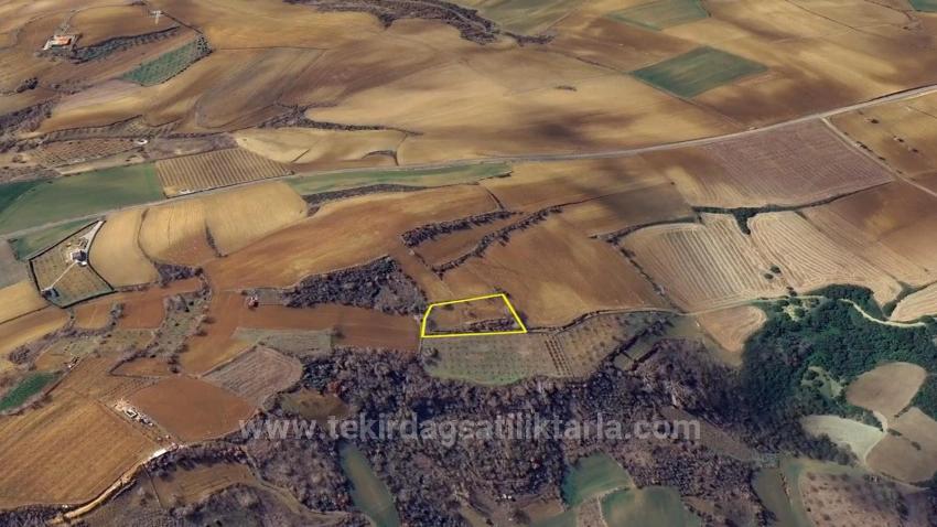 Investment Opportunity: Guaranteed High Profit In The Short Term For Those Who Want To Buy And Sell