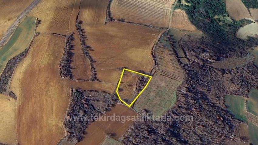 Investment Opportunity: Guaranteed High Profit In The Short Term For Those Who Want To Buy And Sell