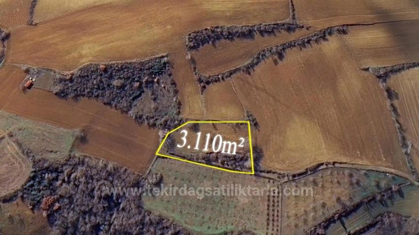 Investment Opportunity: Guaranteed High Profit In The Short Term For Those Who Want To Buy And Sell