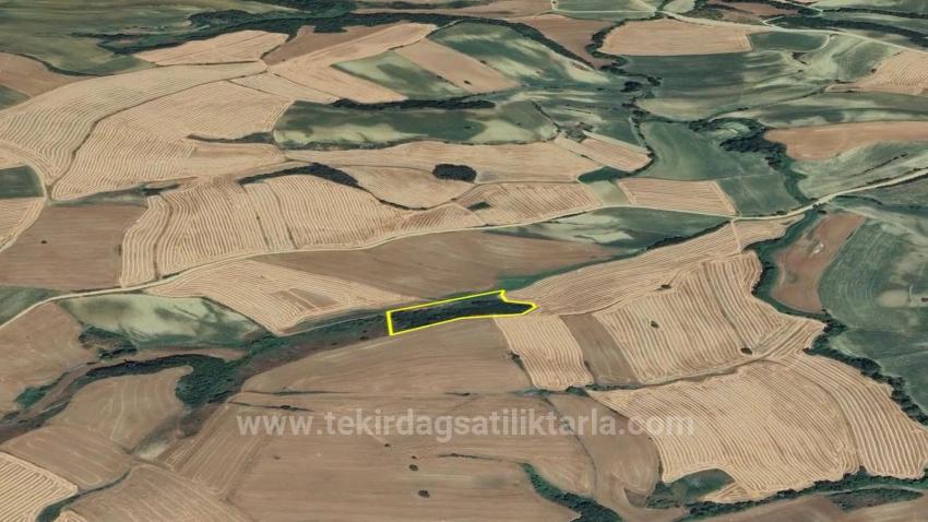 Field For sale in Oruçbeyli Nbh. Süleymanpaşa - Field Zoned - 8.100 m²