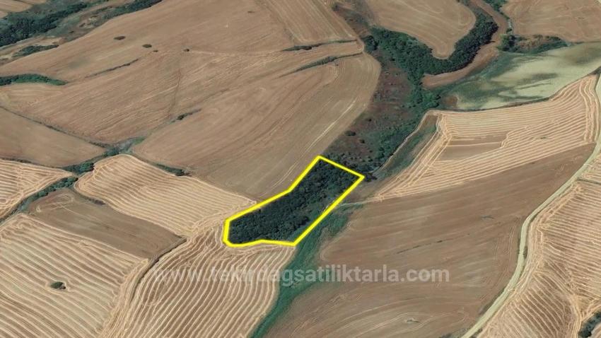 An Unmissable Investment Opportunity: 8,100 M² Of Bargain Land In The Oruç Beyli Neighborhood Of Tekirdağ.