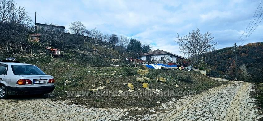 **No Shares, Single Title Deed**Coupon Bargain Land For Village House Enthusiasts**