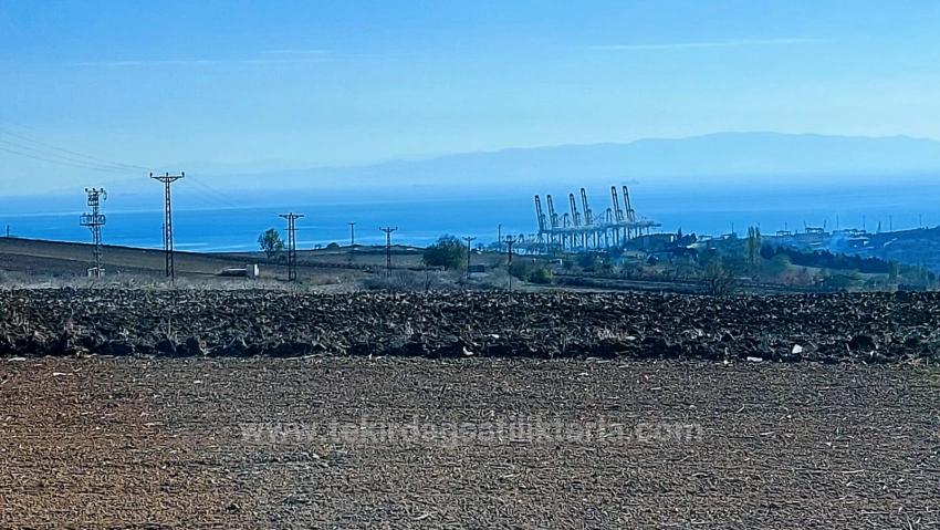 Opportunity Land In The Factories Region, With High Short-Term Profits