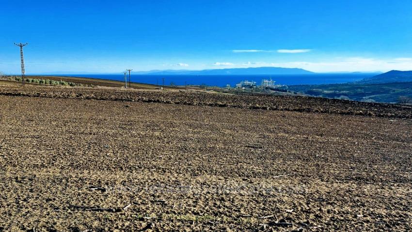 Opportunity Land In The Factories Region, With High Short-Term Profits