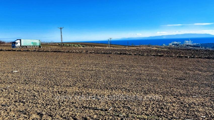 Opportunity Land In The Factories Region, With High Short-Term Profits