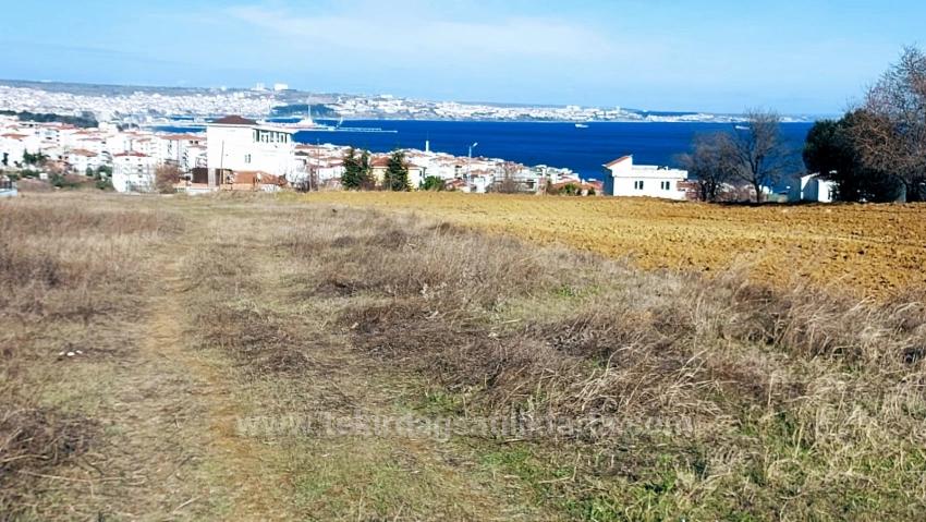 Coupon Land With Full Sea And Nature Views, Infrastructure Is Ready, Start Construction Now