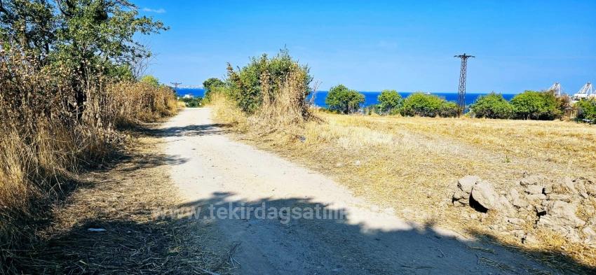 615 M2 Bargain Corner Plot Close To Asyaport