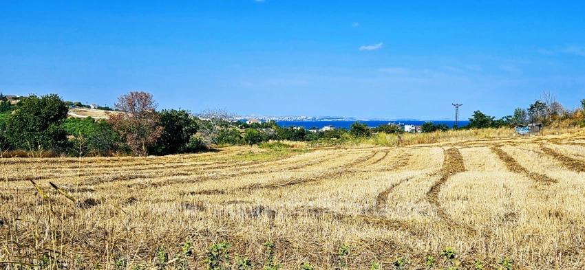 615 M2 Bargain Corner Plot Close To Asyaport