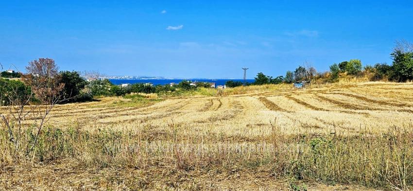 615 M2 Bargain Corner Plot Close To Asyaport