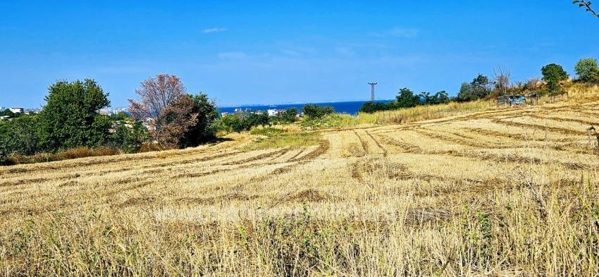 615 M2 Bargain Corner Plot Close To Asyaport