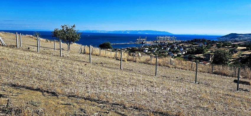 High Profit Guarantee For Those Who Want To Buy And Sell Urgent Sale Due To Cash Needs