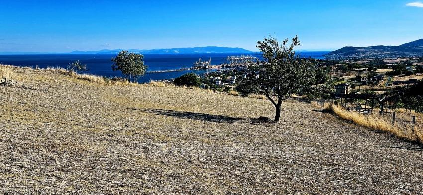 High Profit Guarantee For Those Who Want To Buy And Sell Urgent Sale Due To Cash Needs