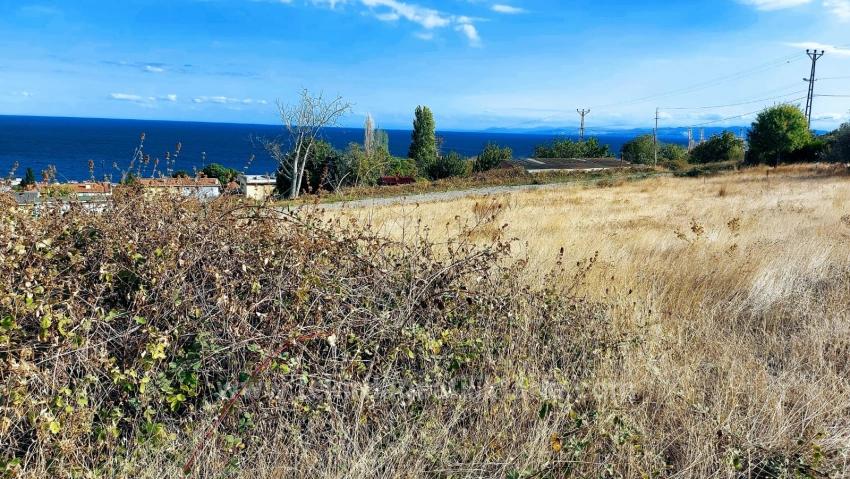 Triplexs Land Is A Great Opportunity For Those Who Want To Build A Detached House With Small Capital