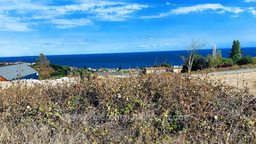 Triplexs Land Is A Great Opportunity For Those Who Want To Build A Detached House With Small Capital