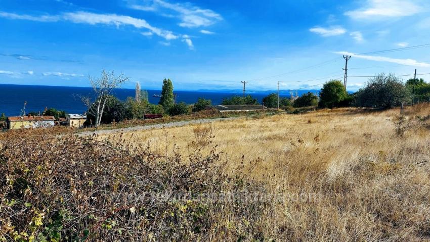 Triplexs Land Is A Great Opportunity For Those Who Want To Build A Detached House With Small Capital