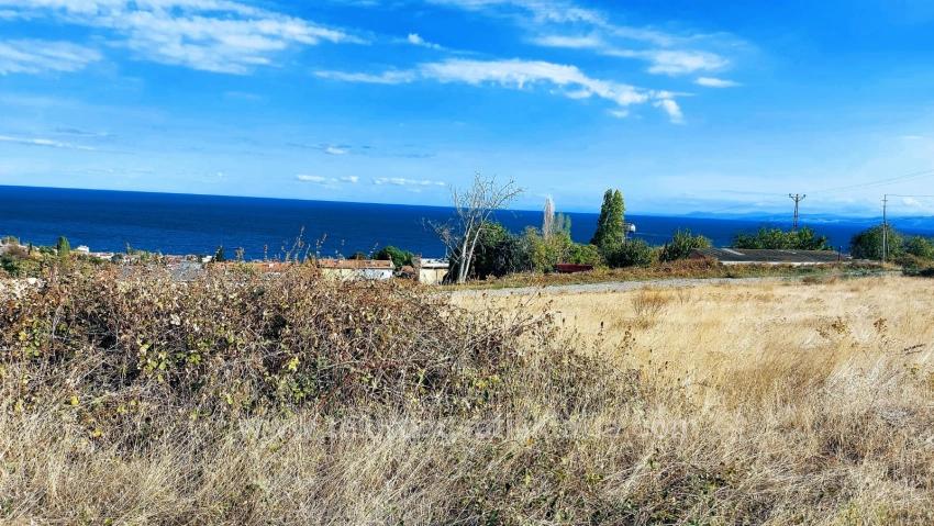 Triplexs Land Is A Great Opportunity For Those Who Want To Build A Detached House With Small Capital