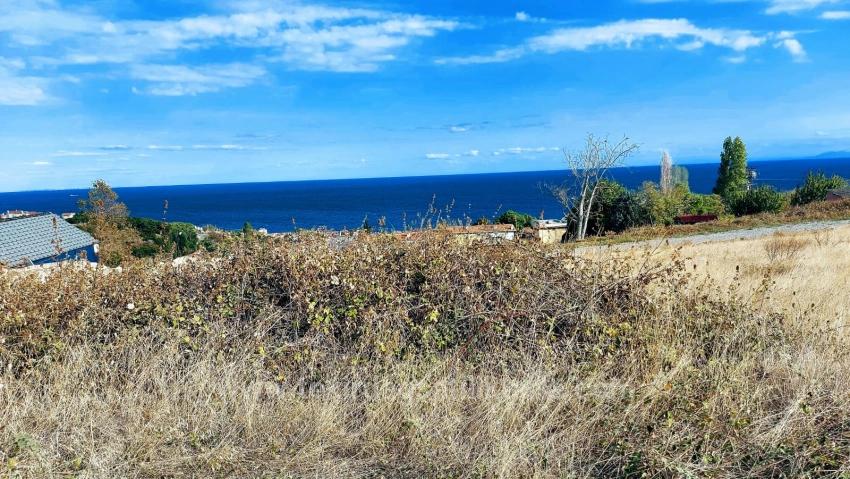 Triplexs Land Is A Great Opportunity For Those Who Want To Build A Detached House With Small Capital