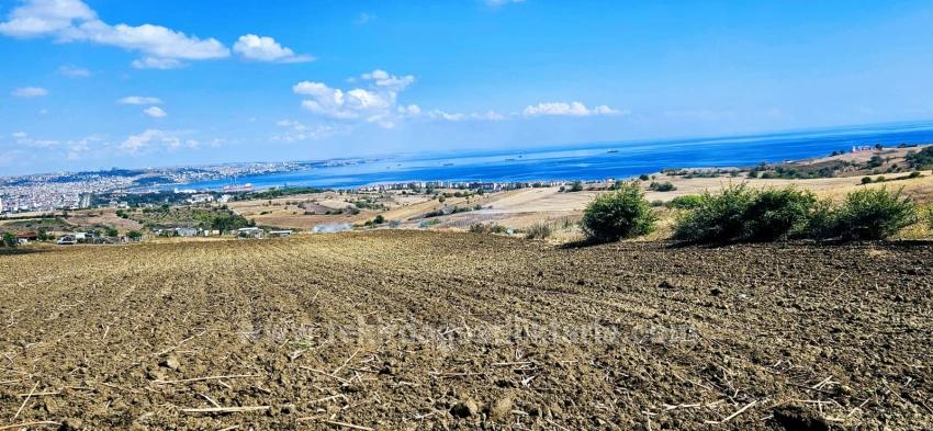 Land Opportunity Suitable For 4 Luxury Villas With Full Sea View