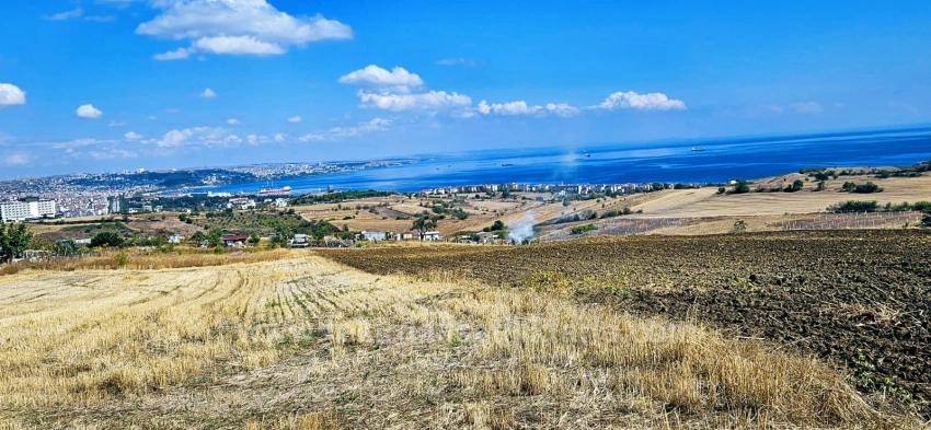 Land For Sale in Barbaros Nbh. Süleymanpaşa Kumbağ - Villa Zoned - 959 m²