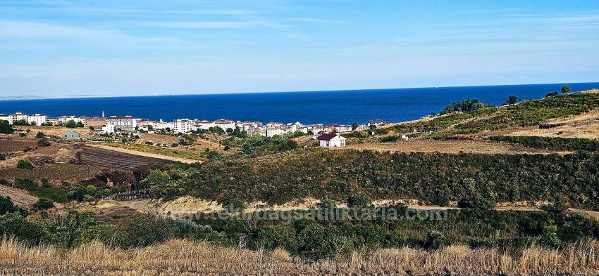 Bargain 1,150 M2 Land With Full Sea View In Tekirdağ Topağaç Neighborhood