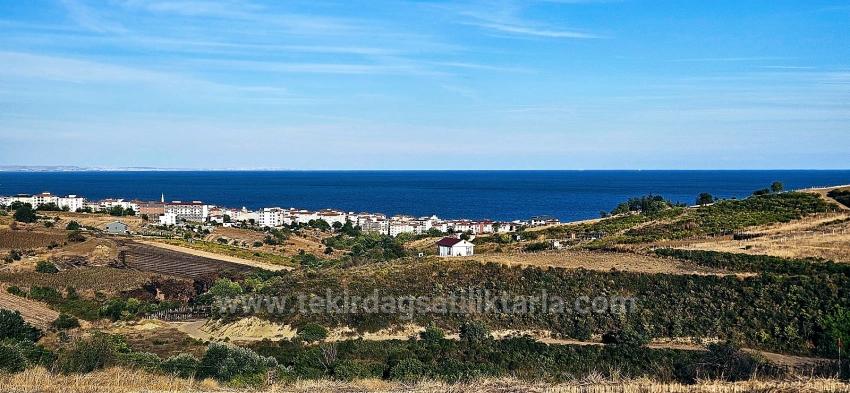 Bargain 1,150 M2 Land With Full Sea View In Tekirdağ Topağaç Neighborhood