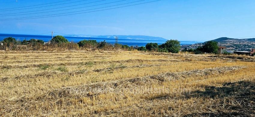 8,500 M2 Residential Land With High Profit Promise, Close To Asyaport Port