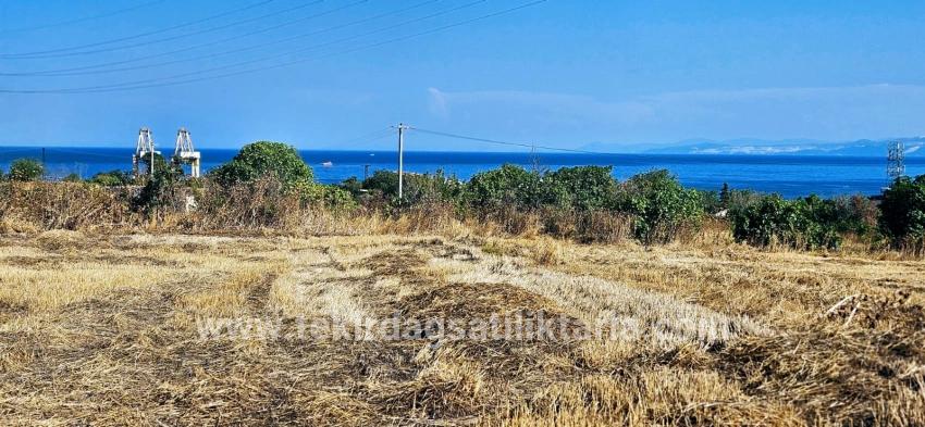 Field For sale in Barbaros Nbh. Süleymanpaşa Kumbağ - Housing Zoned - 8.500 m²
