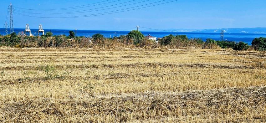 8,500 M2 Residential Land With High Profit Promise, Close To Asyaport Port