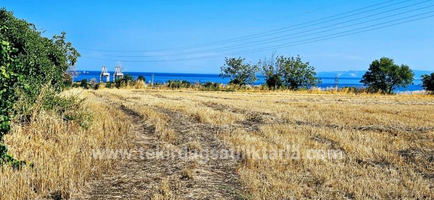 Field For sale in Barbaros Nbh. Süleymanpaşa Kumbağ - Housing Zoned - 8.500 m²