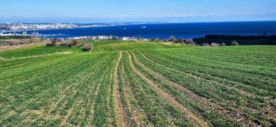 Land With Full Sea And Nature View Suitable For 75 Villa Projects In Tekirdağ Barbarosta
