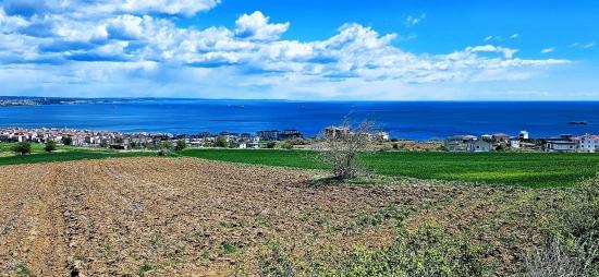 Possibility To Build 44 2+1 Flats With Full Sea View, Suitable For Cooperative And Site Construction