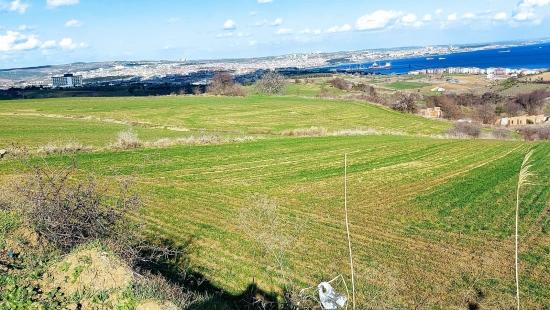 Land Suitable For 8 Villa Projects With Full Sea And Nature Views In Tekirdağ Barbarosta