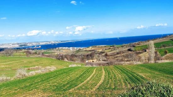 Land Suitable For 8 Villa Projects With Full Sea And Nature Views In Tekirdağ Barbarosta