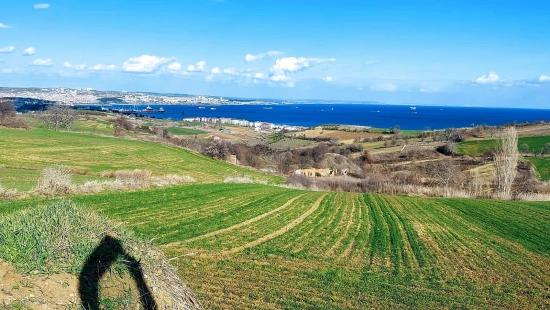 Land Suitable For 8 Villa Projects With Full Sea And Nature Views In Tekirdağ Barbarosta