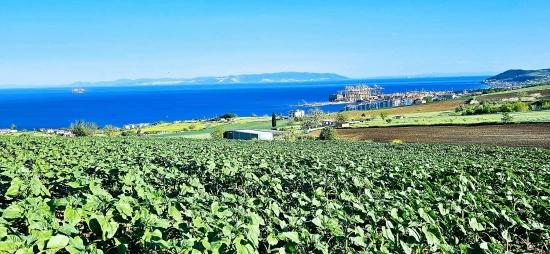 Land Suitable For Cooperative And Site Projects With 50 Apartments And Full Sea And Nature Views