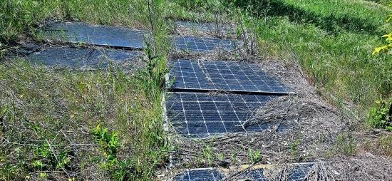 *barter+cash* Build A Farm With State Support* Produce And Grow* Secure Your Future*