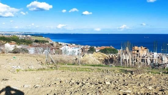 You Can Either Create A Project For 9 Luxury Apartments Or 2 Ultra-Luxury Villas.